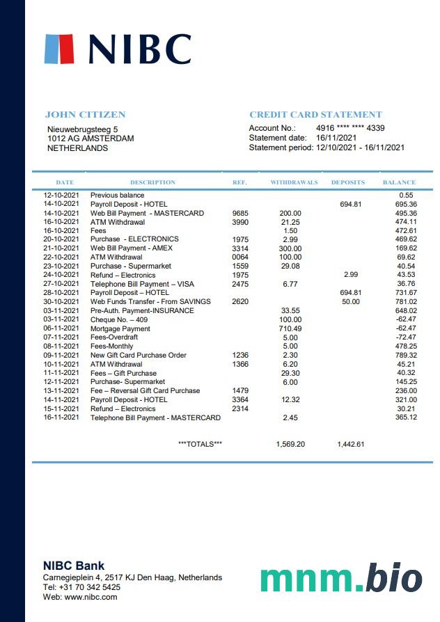 Netherlands NIBC Bank szablon w formacie excel pdf